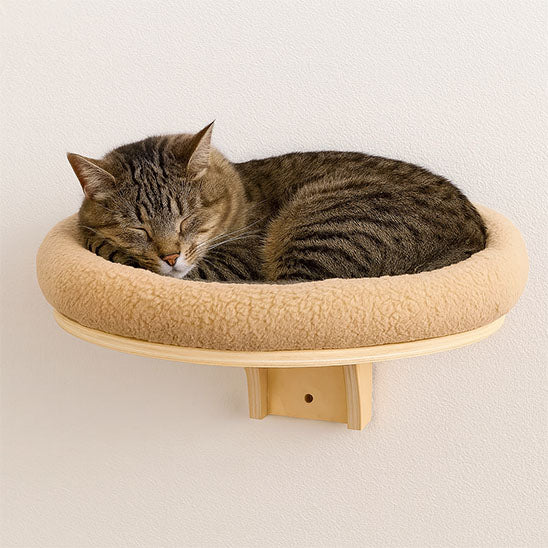 arbre chat mural plateforme coussin moelleux chat dormant dedans