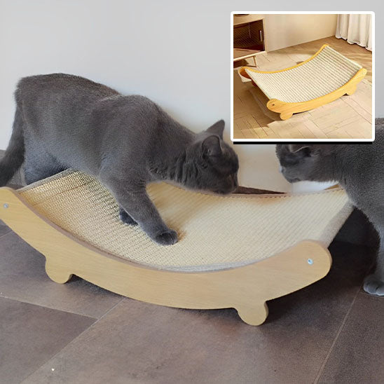 griffoir chat deux chats gris decouvrent sentent detail