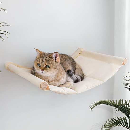 hamac pour chat mural confortable avec un chat couché dessus