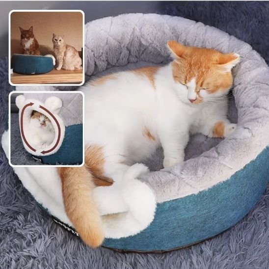 MAISON A CHAT version coussin avec chat dormant dedans