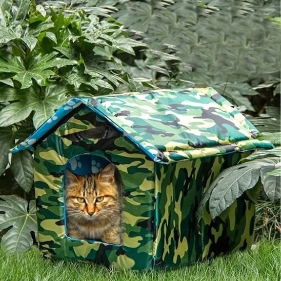 maison exterieur pour chat verte kaki avec chat dedans