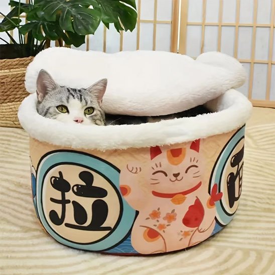 Maison pour chat forme de bol nouilles chinoises chat dedans