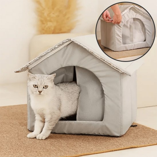 maison pour les chats beige avec chat avec bulle de demonstration