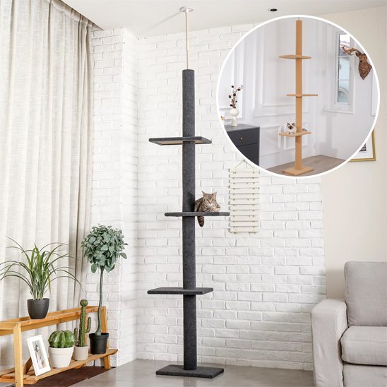 Arbre à chat