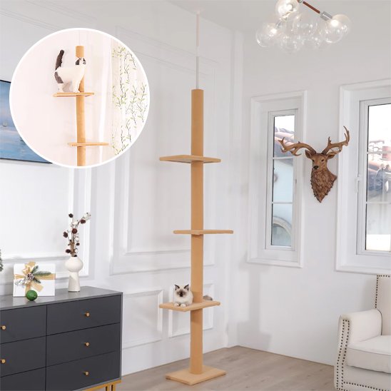 Arbre à chat