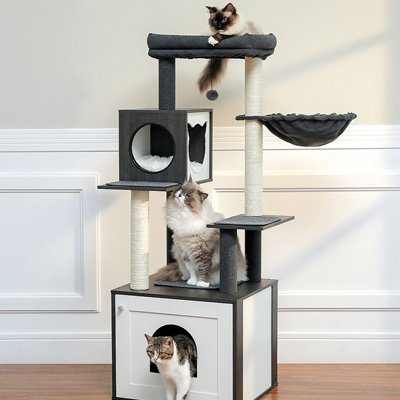 Arbre a Chat en bois avec chat assits a cote