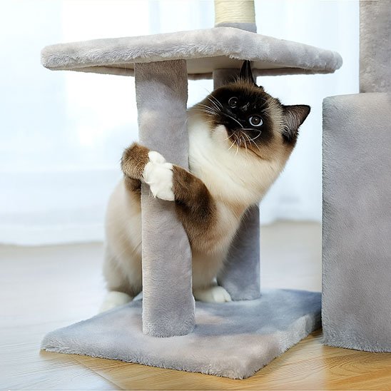 arbre a chat en peluche grise avec un chat jouant dessous