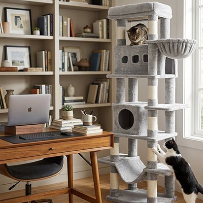Arbre à Chat gris dans un bureau avec deux chats