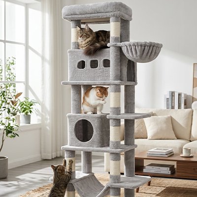 Arbre à Chat gris dans un salon avec des chats dessus