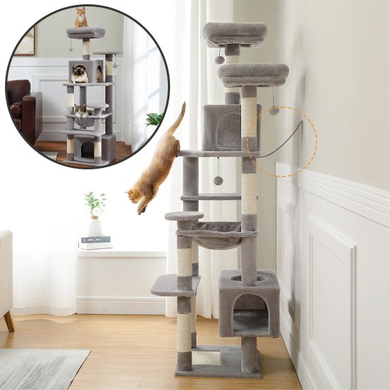 Arbre à chat gris et beige avec chat en sautant et bulles demonstration