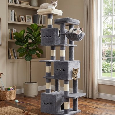 Arbre à chat gris fonce avec chats dessus