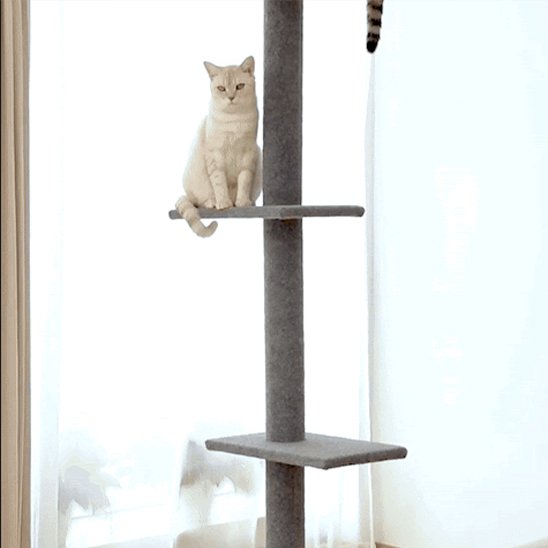 Arbre à chat gris plusieurs niveaux avec un chat dessus