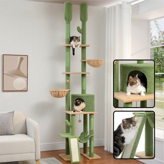 Arbre à chat vert cactus deux pieces cote a cote chats jouant dessus