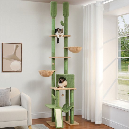 Arbre à chat vert cactus deux pieces cote a cote chats couches dessus