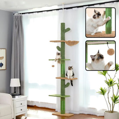 Arbre à chat vert theme cactus avec plusieurs chat jouant dessus