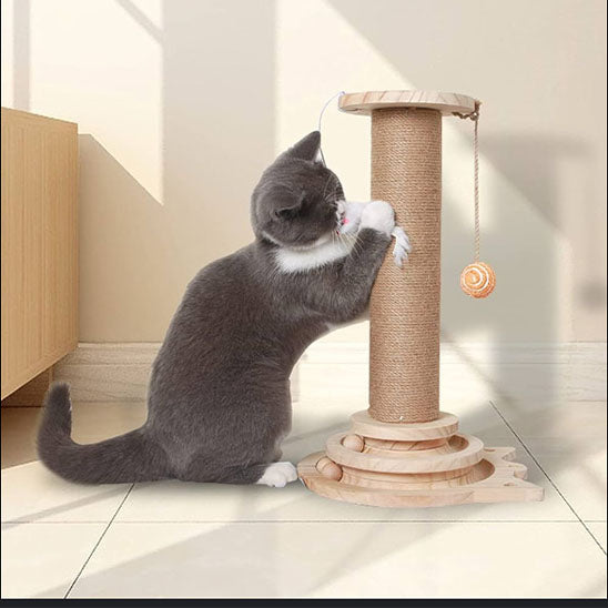 arbre chat bois chat faisant griffe dessus salon lumineux