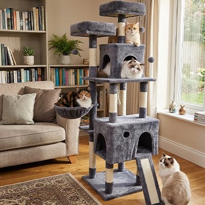 Arbres a chat gris fonce avec des chats dessus