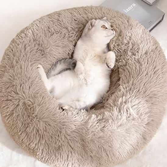 chat endormi ventre en l air coussin chat rond peluche confortable