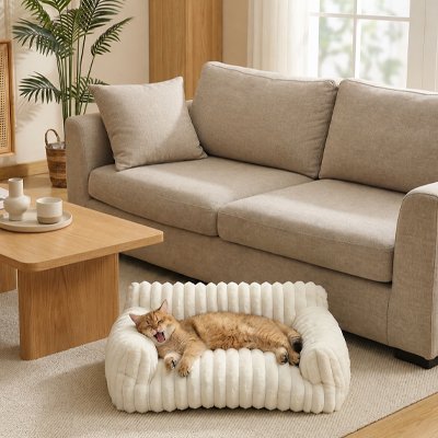 Chat panier blanc en forme de canapé avec un chat