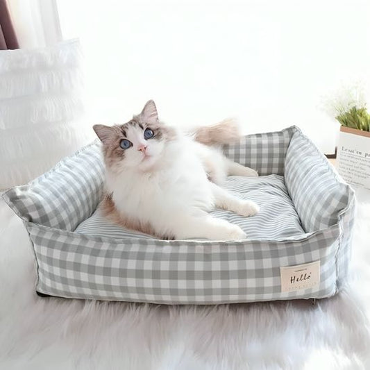 chat panier rectangulaire animal confortablement installe dedans salon lumineux