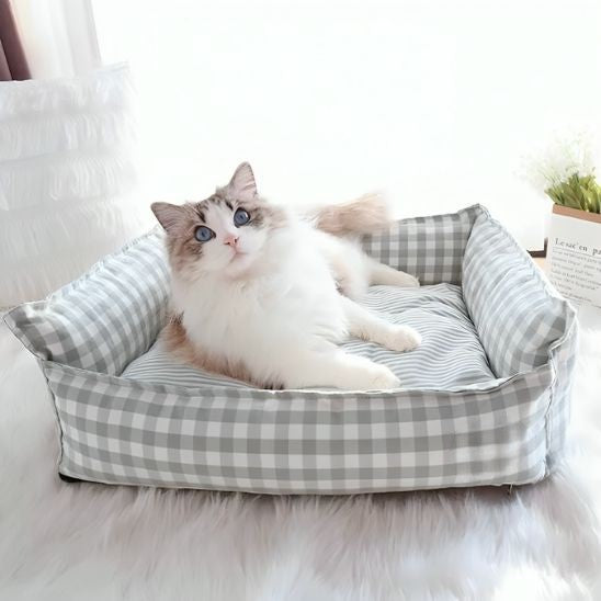 chat panier rectangulaire animal confortablement installé dedans