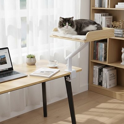 couchage pour chat fixe a un bureau avec chat dessus