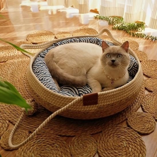 couchage pour chat tressé en cordes naturelles chat couche dedans