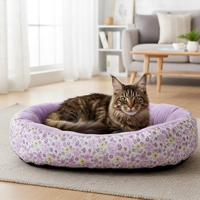 Coussin à chat ovale mauve chat couche dedans
