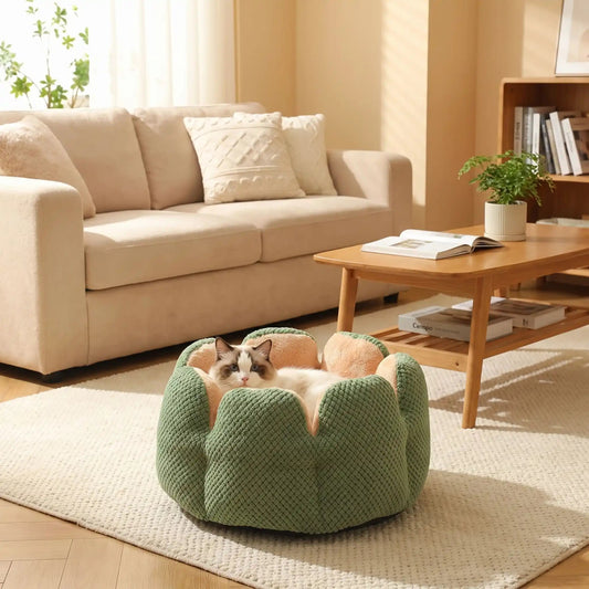 coussin a chat rond et vert en forme de petales