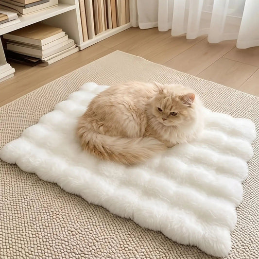 coussin chat blanc doux et moelleux rectangulaire