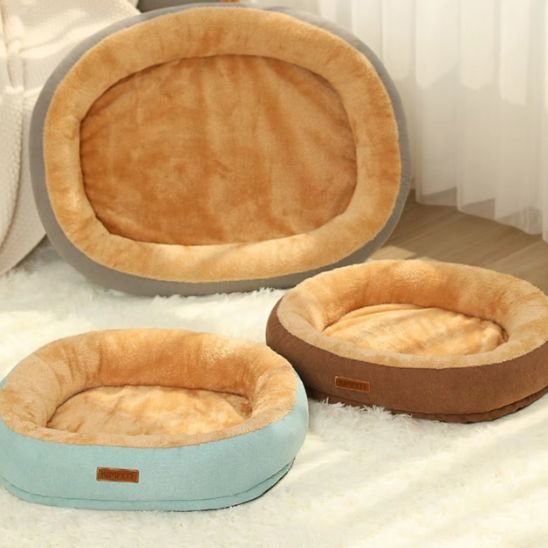 coussin chat deux couleur propose