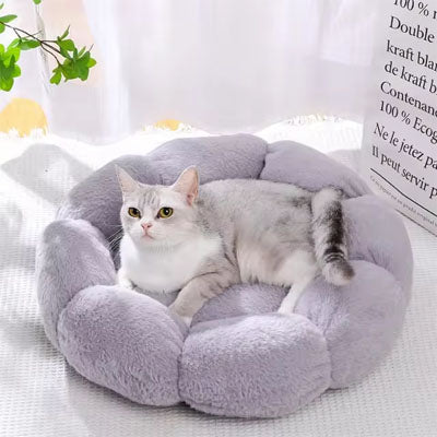 coussin chat en forme de fleur mauve
