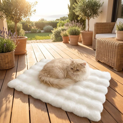 coussin chat rectangulaire capitonne et blanc tres confortable