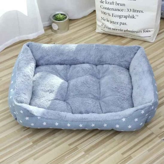 coussin chat rectangulaire gris avec motifs etoiles