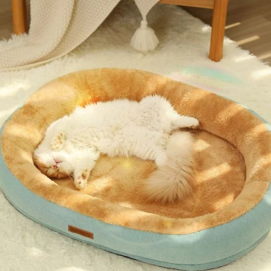 coussin chat vert et brun de forme ovale et moelleux