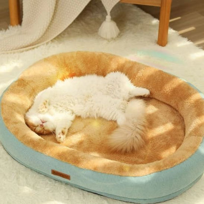 coussin chat vert et brun de forme ovale et moelleux