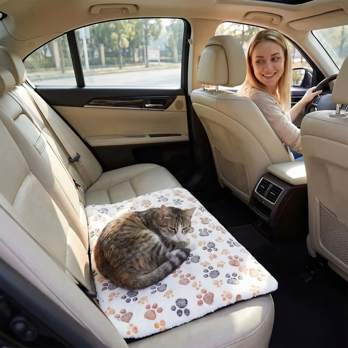 coussin chauffant chat blanc avec motifs installe dans une voiture