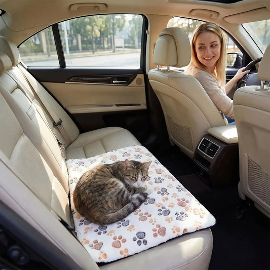coussin chauffant chat blanc avec motifs installe dans une voiture