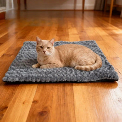 coussin chauffant chat rectangulaire tres doux gris et confortable