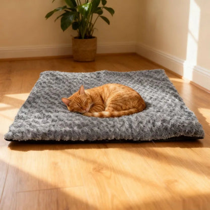 coussin chauffant chat rectangulaire ultra doux et gris