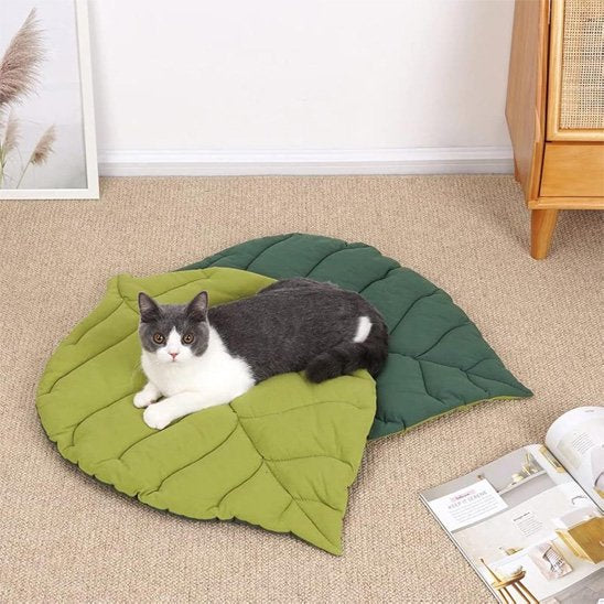 coussin pour chat feuille vertes 