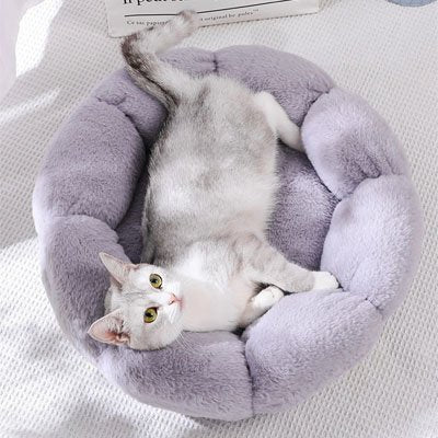 Coussin pour chat forme fleur chat detendu dedant