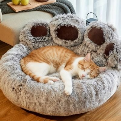 coussin pour chat forme patte de chat animal dormant dedans