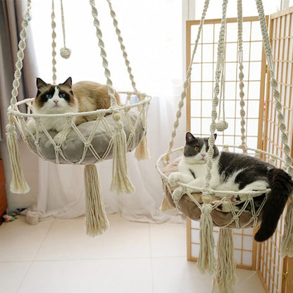 hamac chat cordelettes blanc deux chats couches dedans