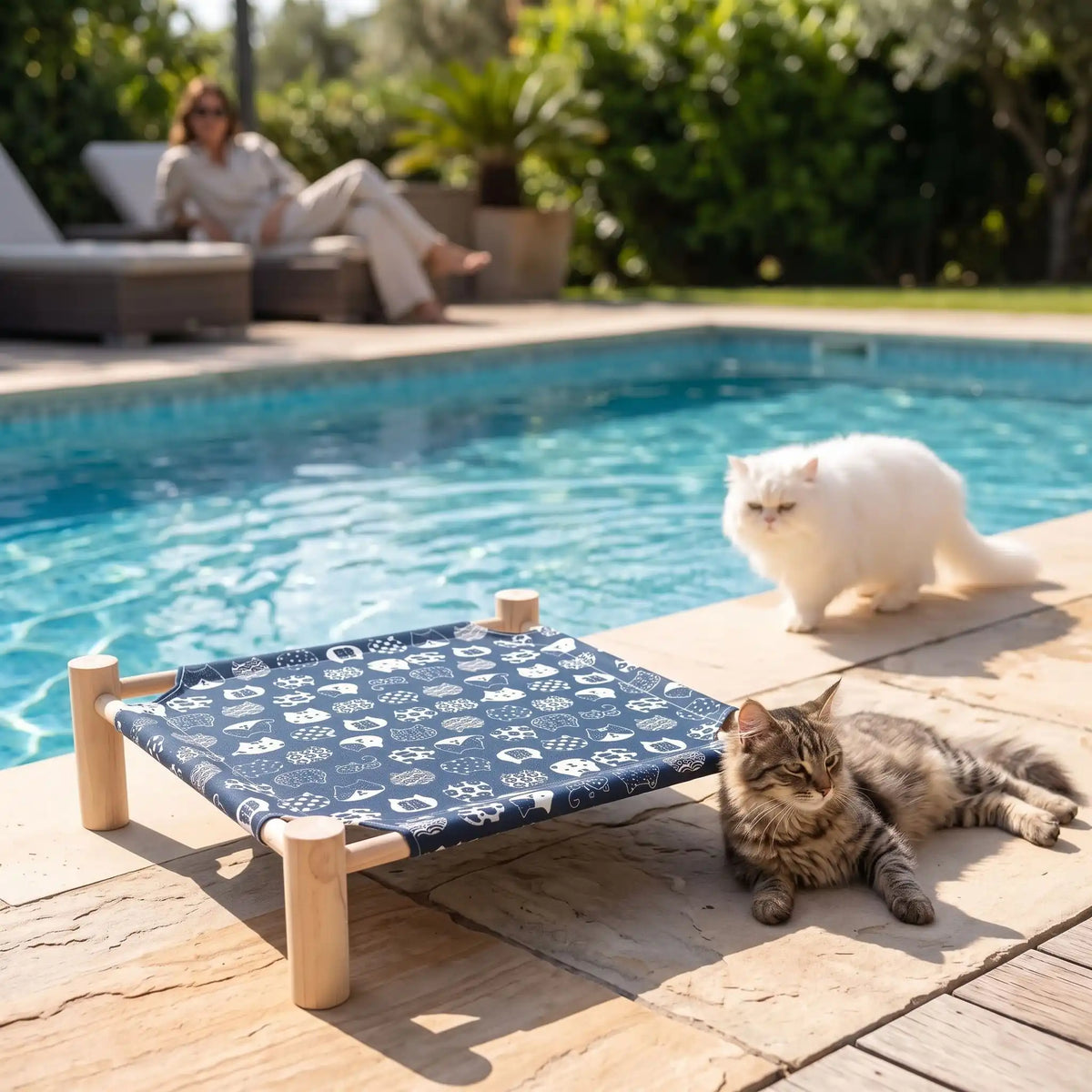 hamac chat facile a déplacer
