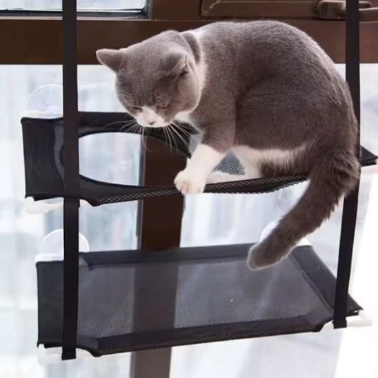 hamac chat fenetre avec chat dessus