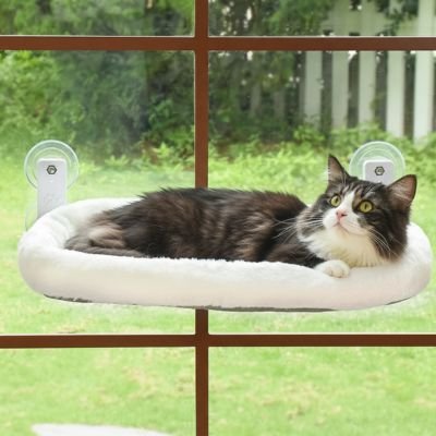 hamac chat fenetre blanc chat couche dedans