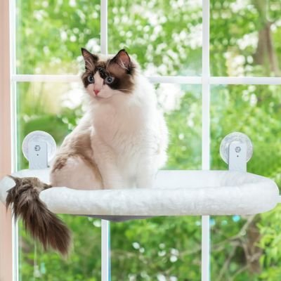 hamac chat fenetre blanc sur fenetre avec chat dedans