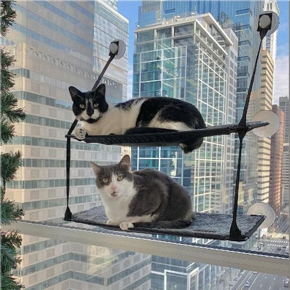 hamac chat fenetre deux niveaux avec deux chats dedans