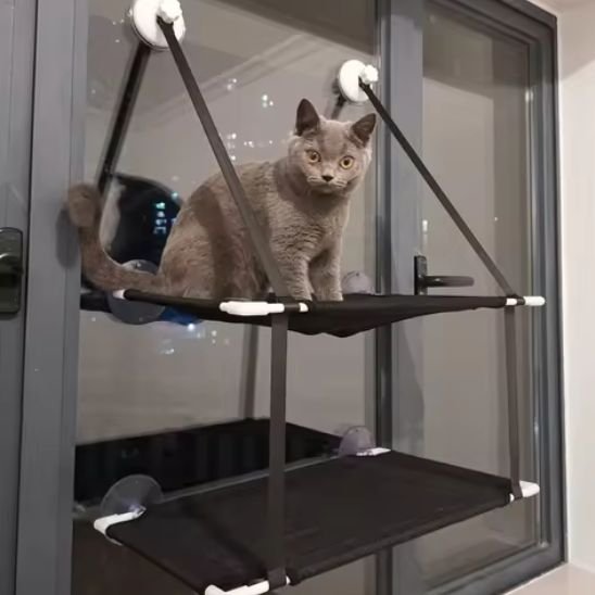 hamac chat fenetre deux niveaux noir avec chat dessus
